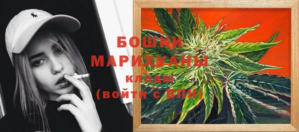 прущие крисы Тында