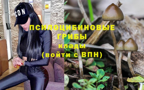 кокс Усмань