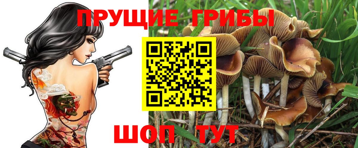даркнет сайт  Вход с VPN  Великие Луки  Галлюциногенные грибы мухоморы 